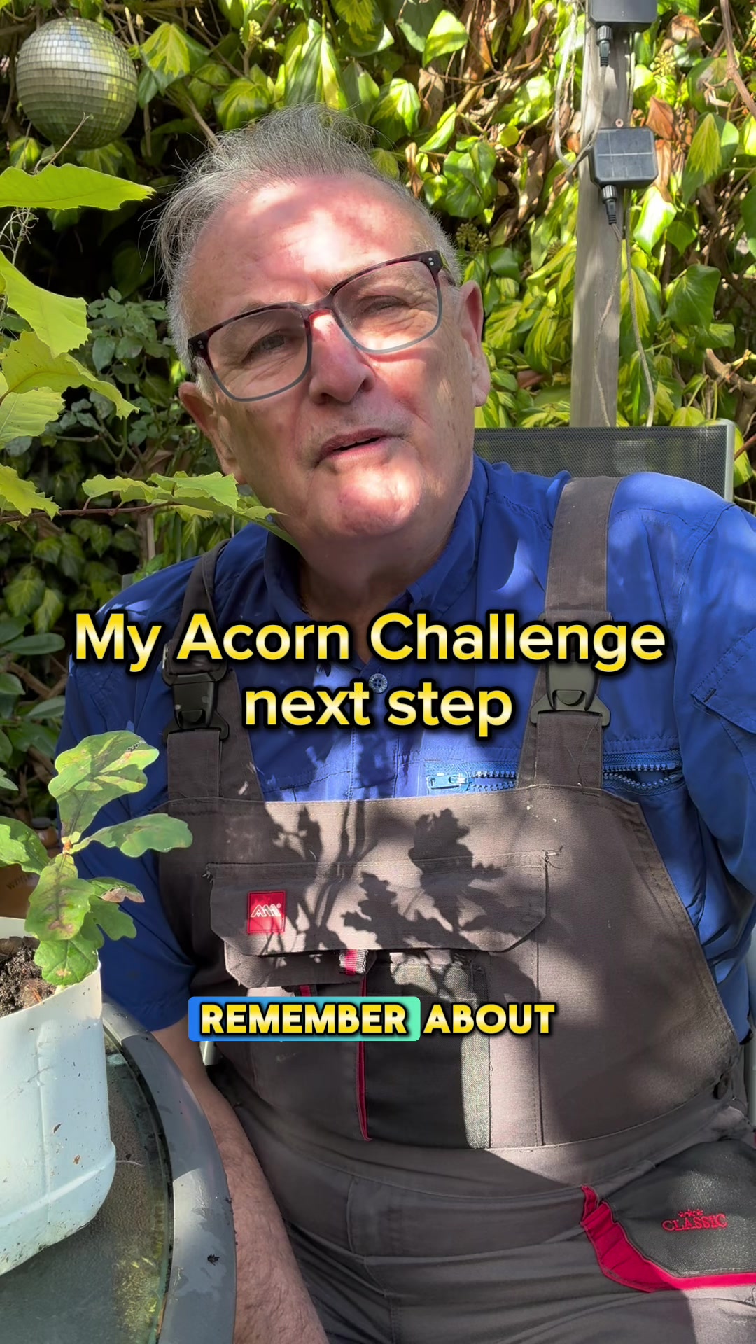 Growing acorns into trees: The next steps
