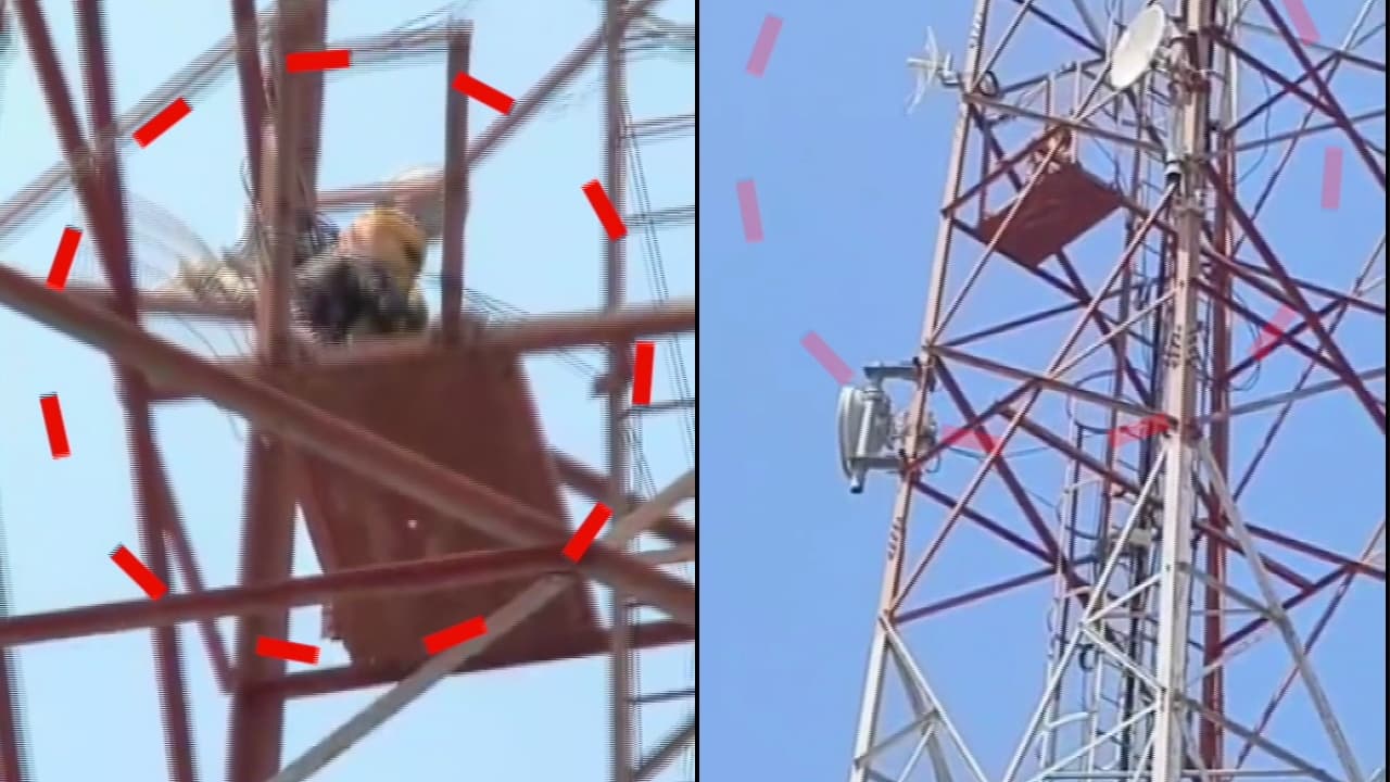 Bengaluru: Newlywed woman climbs mobile tower twice, urges police to ...