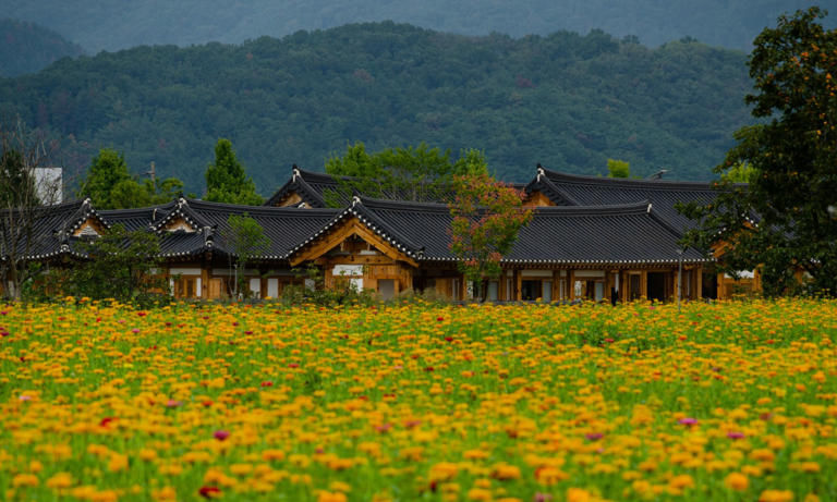 Korean county, home to Vietnamese prince's descendants, builds $260M ...