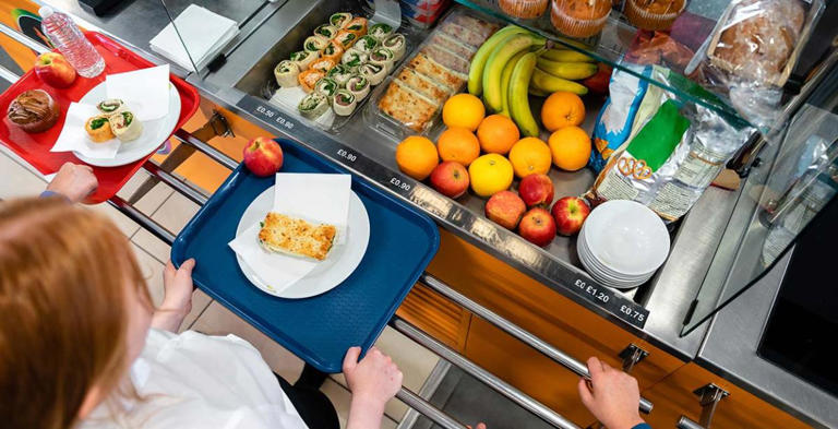 School meal suppliers picked before a full procurement process
