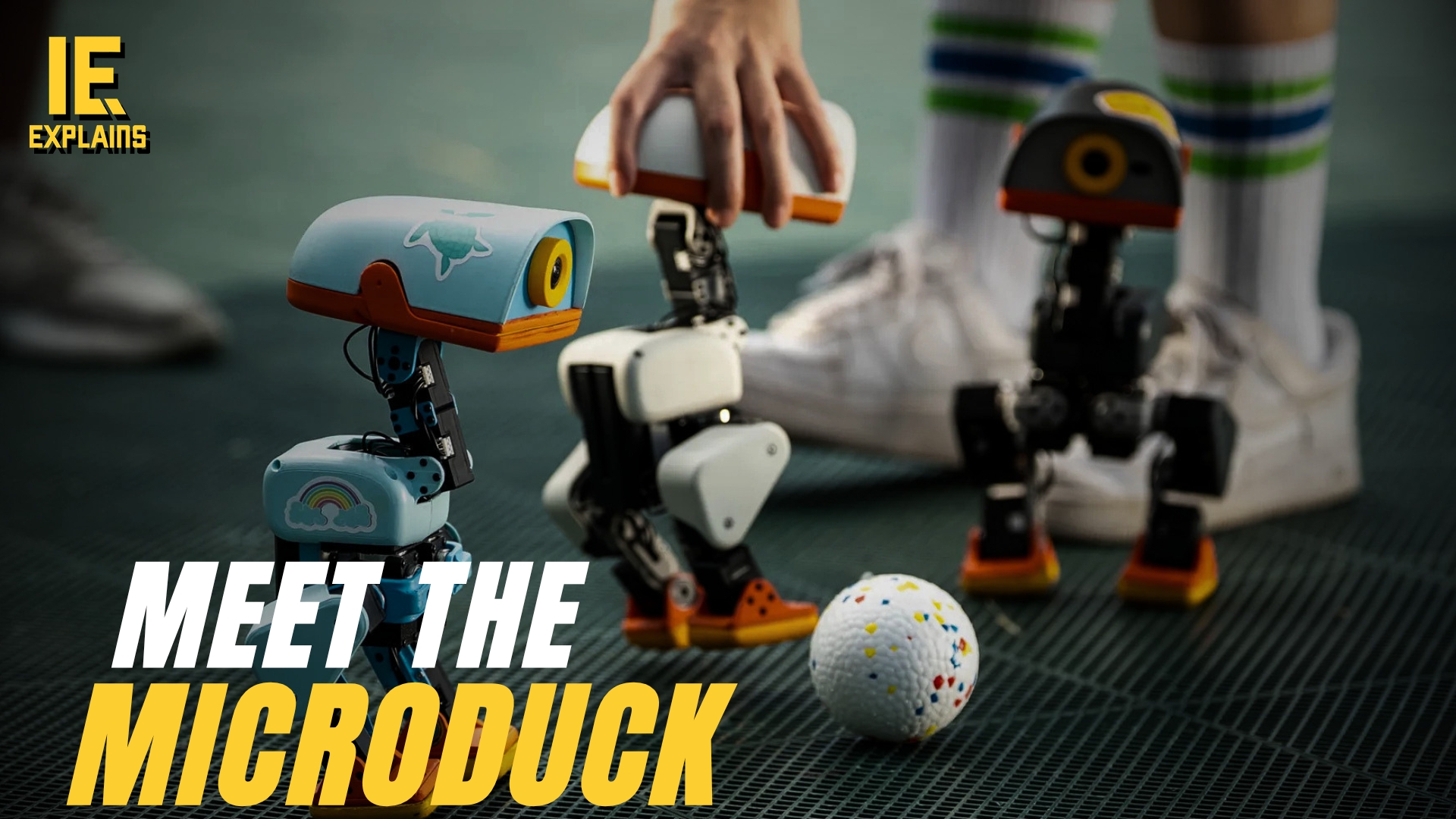 Meet Microduck: A robot duck you can teach new tricks