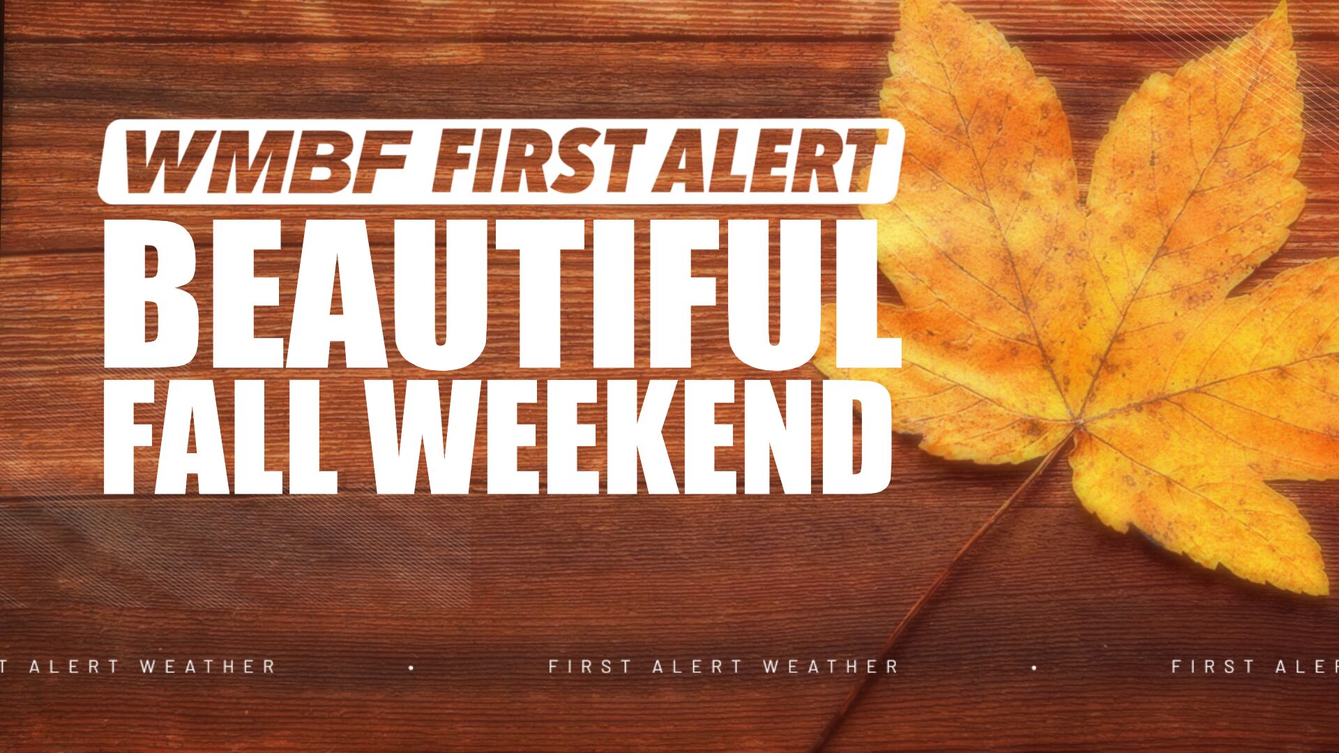 First alert: Chilly nights, mild days through the weekend
