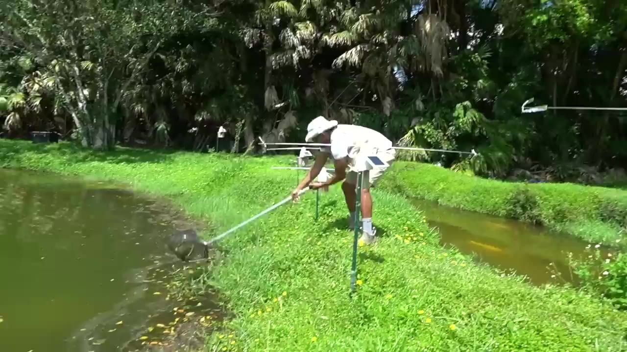 An angler uses micro fishing to find aquarium fish in a Florida canal