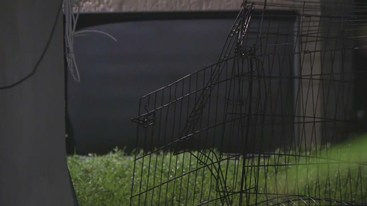 911 call captures frantic report of dog chasing, biting children in Miami