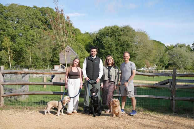 New dog agility park and open space opens at New Forest housing development