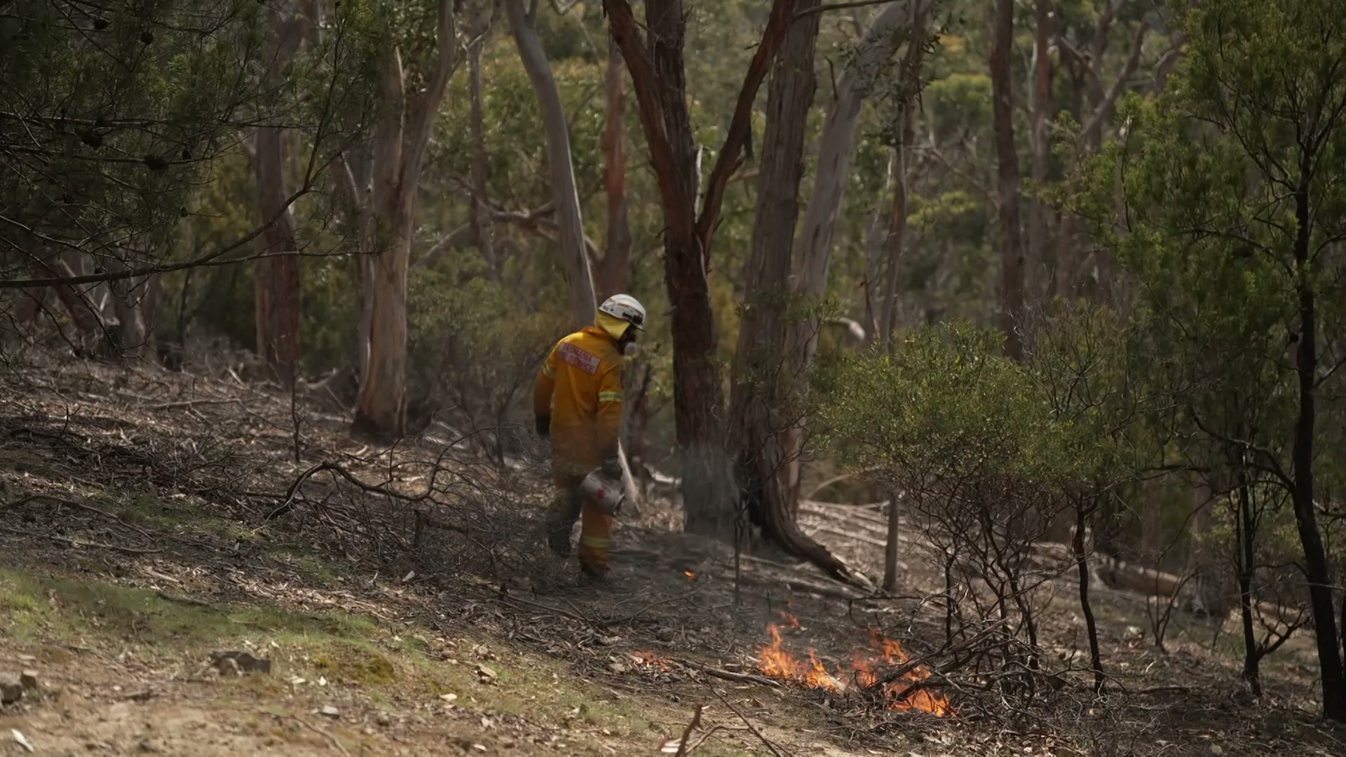 Fire seasons cost Australia $6 billion annually