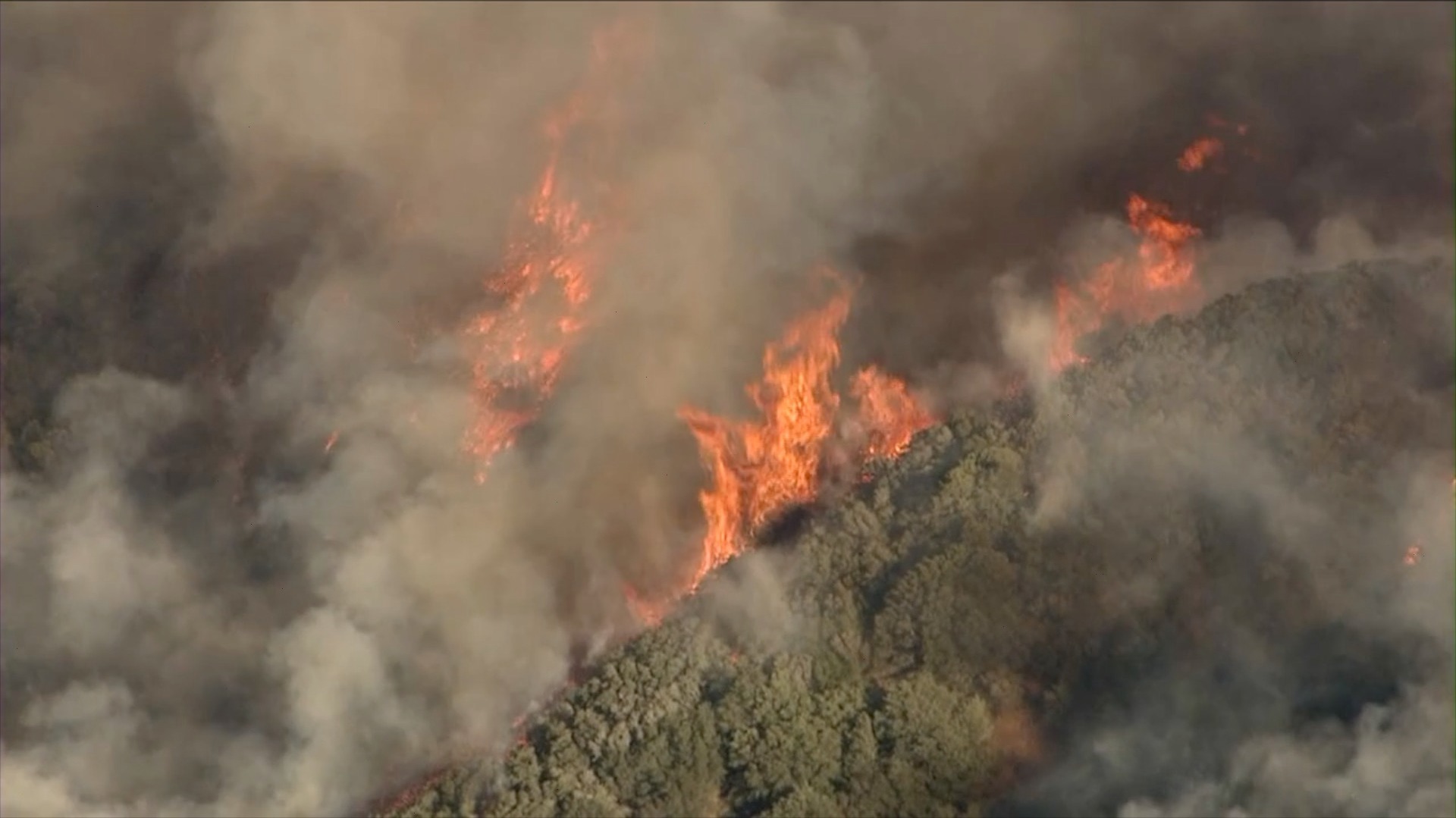 15,000 scientists warn of climate emergency in Code Red update