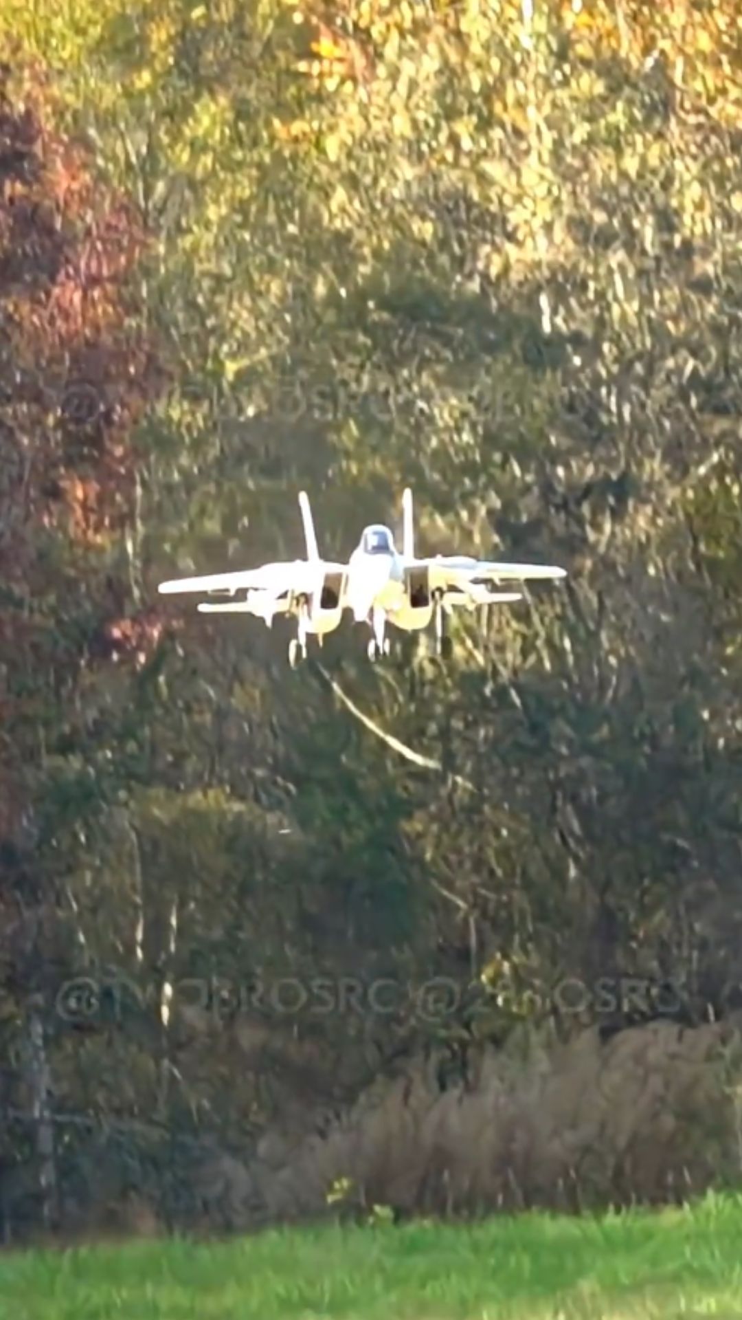 The RC Tomcat landing that looks almost too real