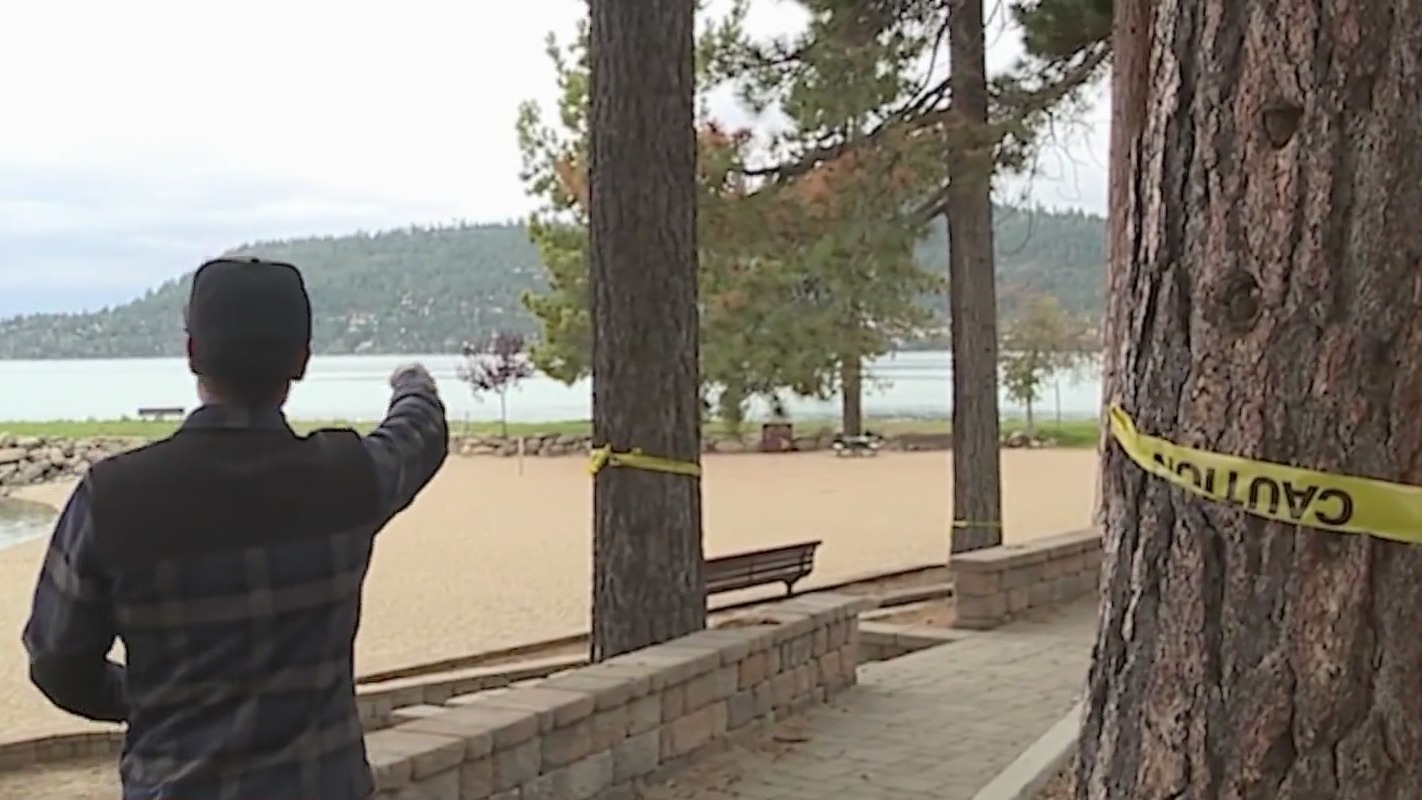 Tahoe trees poisoned with diesel