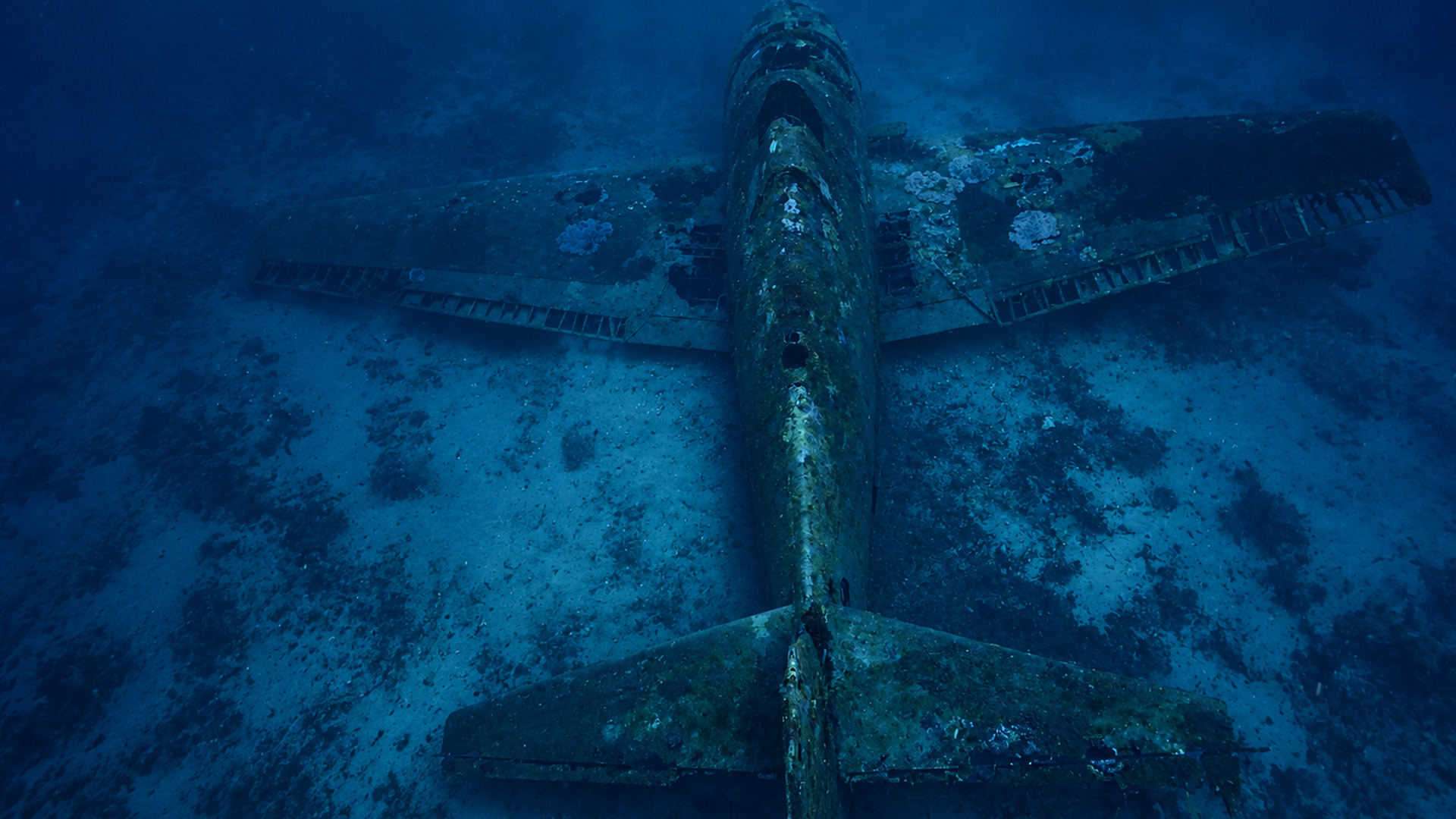 A sunken aircraft slowly covered by marine life