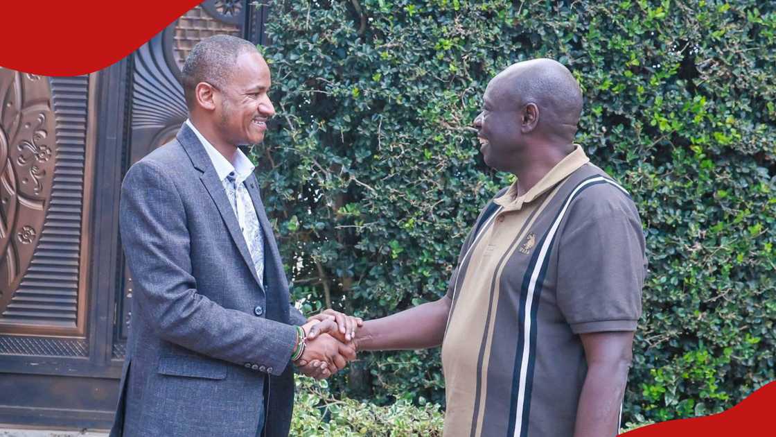 Babu Owino reacts to reports of dropping out of Nairobi governor race ...
