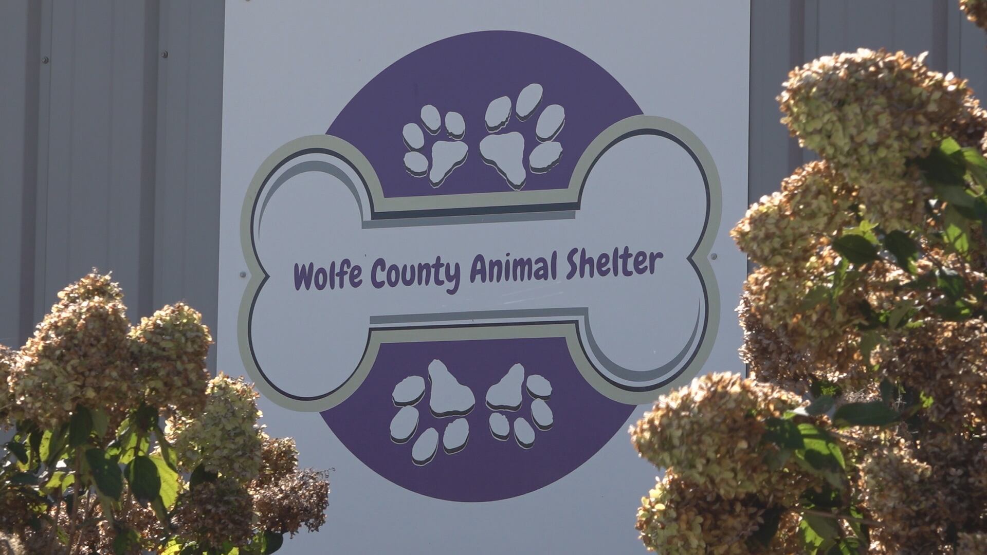 Wolfe County animal shelter missing more than $110,000, former ...