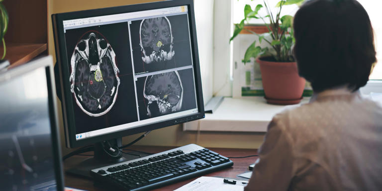 Brain scans suggest first graders don’t engage their control networks ...