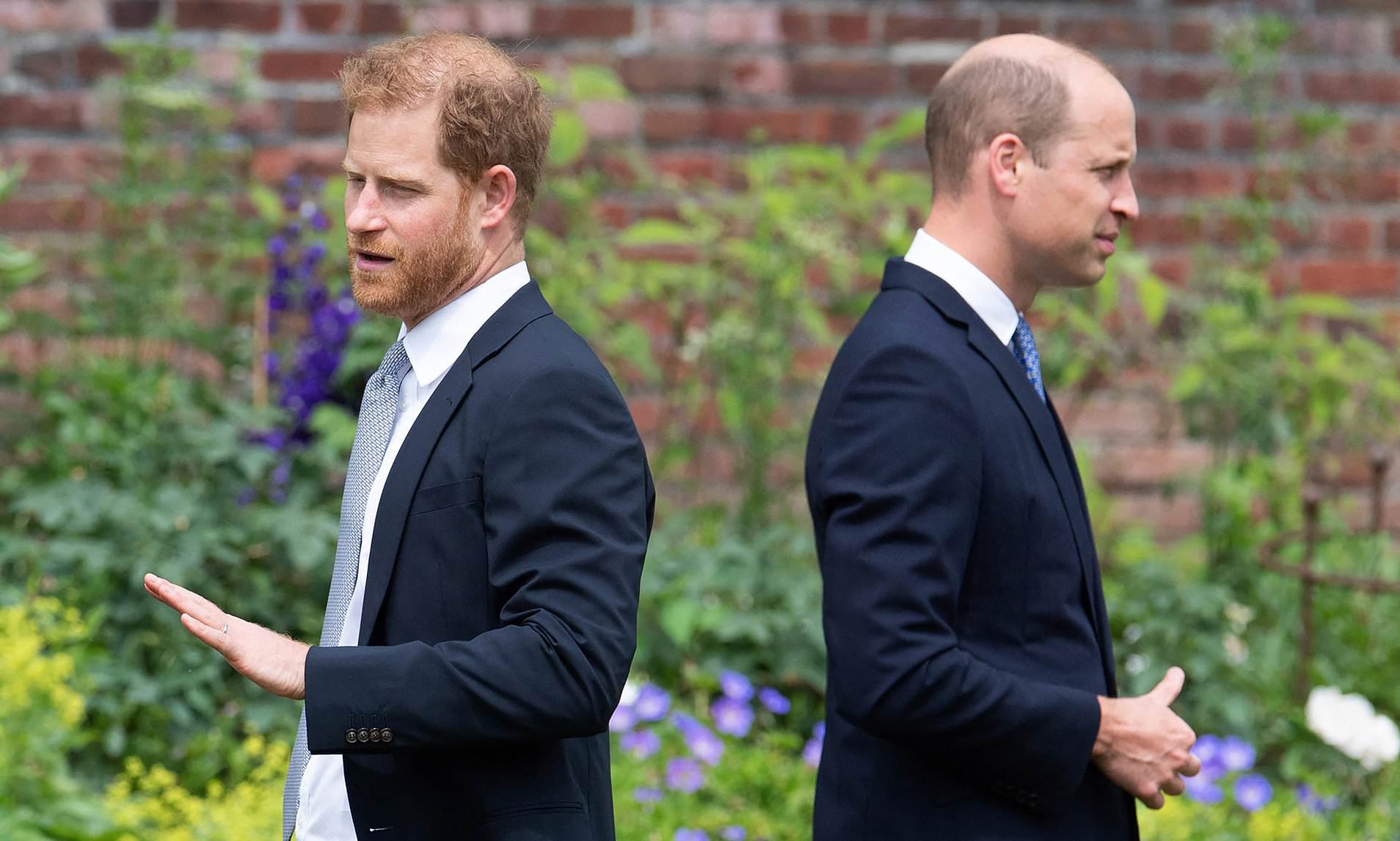 Should William take up Harry's offer of reconciliation?