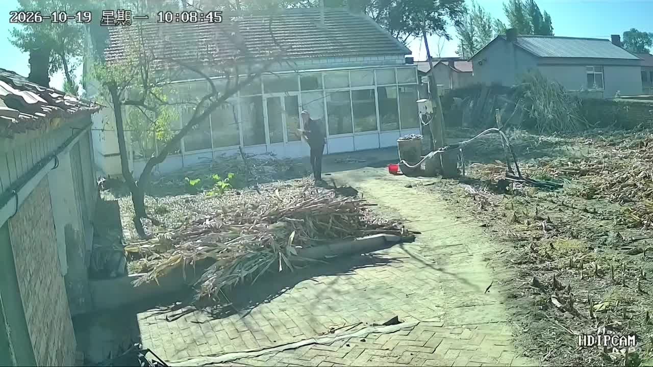 Elderly man knocked over after cut tree branch pulls down utility pole
