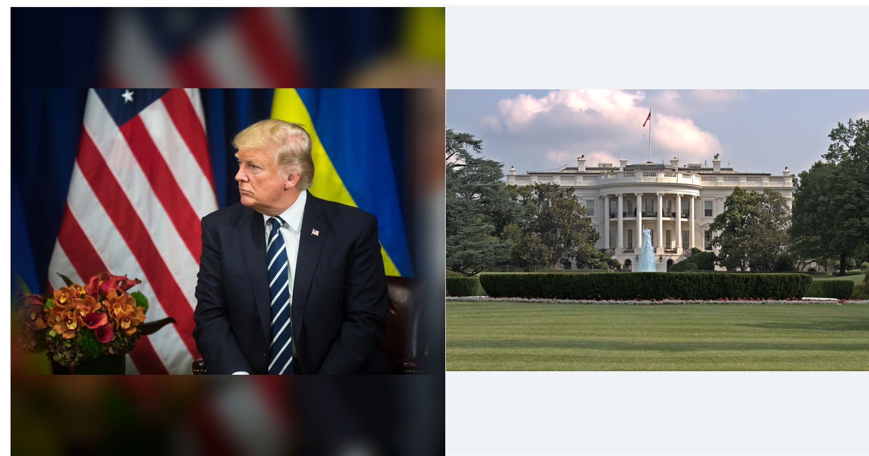Trump’s fraud incentive program promises unlimited 1% commission