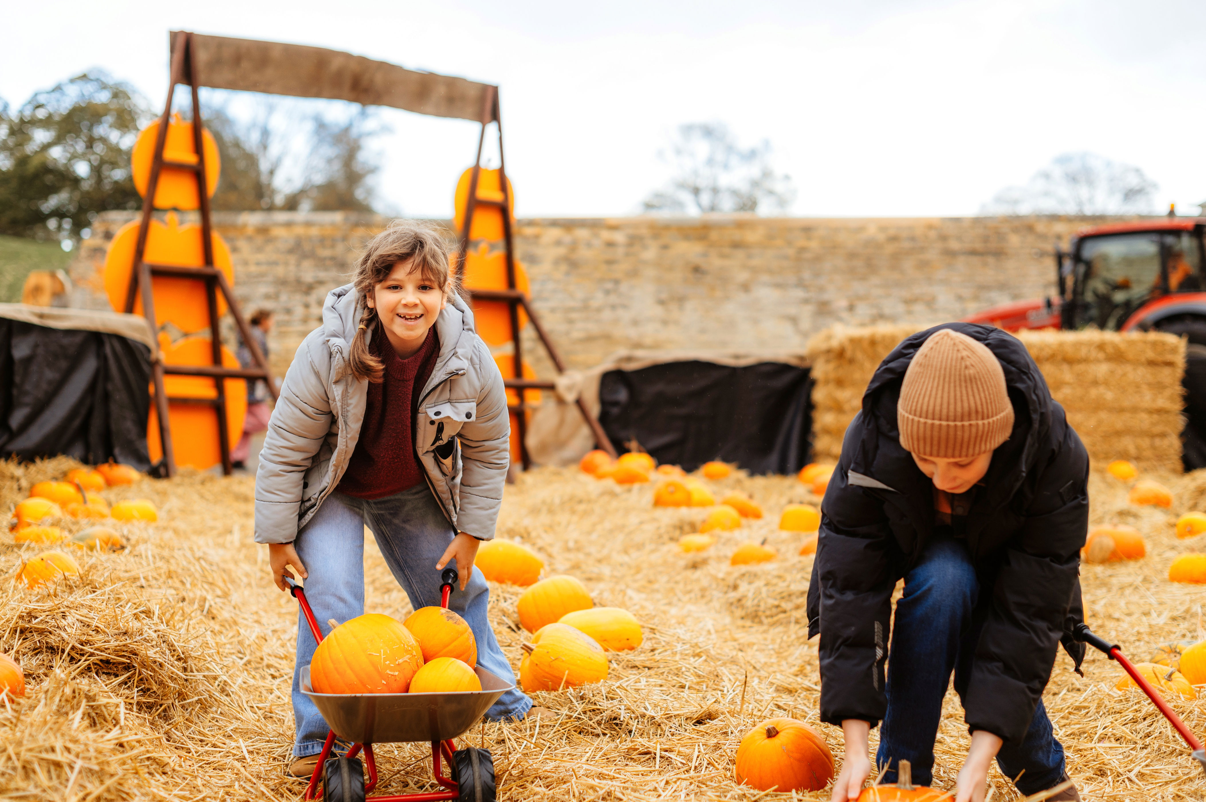 Discover the Duke's magical maze & menagerie at Boughton House near ...