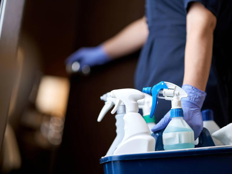 Hotel cleaner names the first area you should clean at home to stop ...