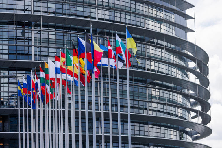EU human rights prize awarded to International Criminal Court