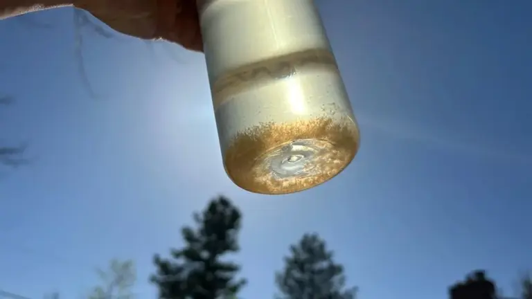 How often should you clean your reusable water bottle to prevent germ ...