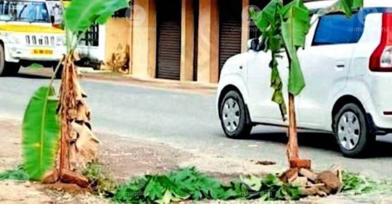 Massive pothole on KP Road in Pathanamthitta, residents plant banana ...