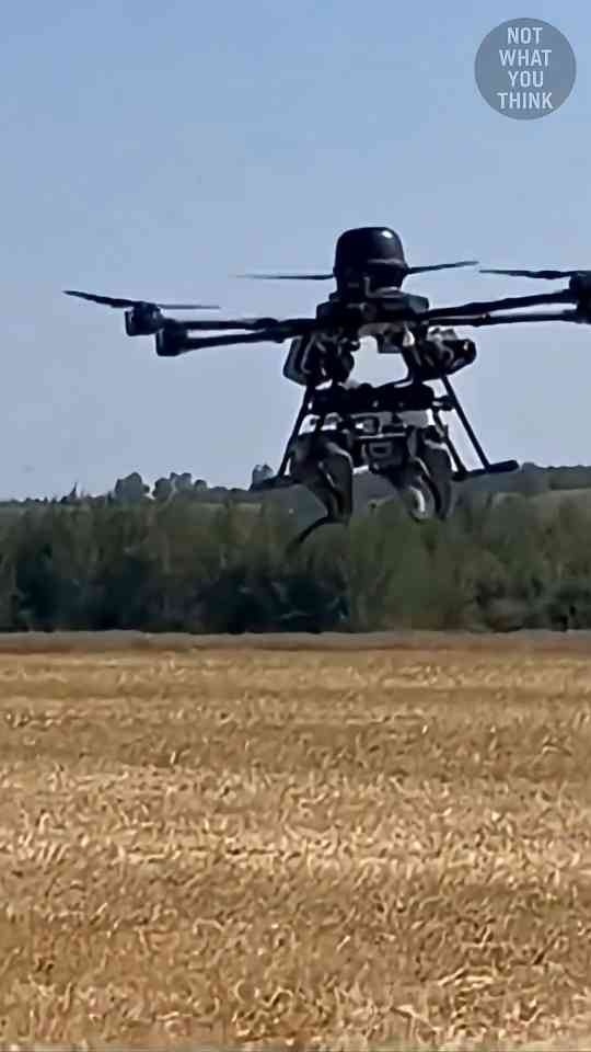 Flying robot dogs