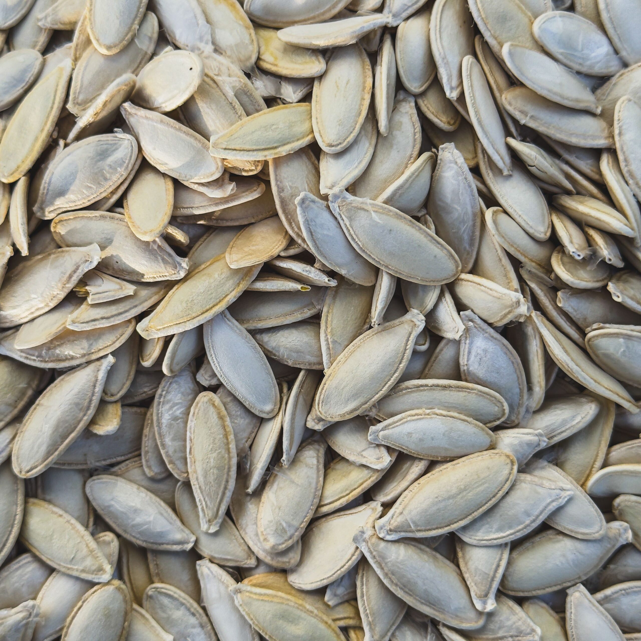 9 phosphorus-rich plant foods for strong teeth and bones