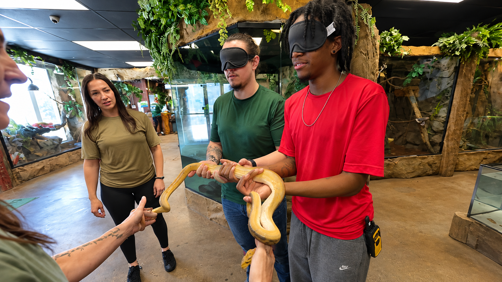 Blindfolded animal identification challenge tests their ability to ...