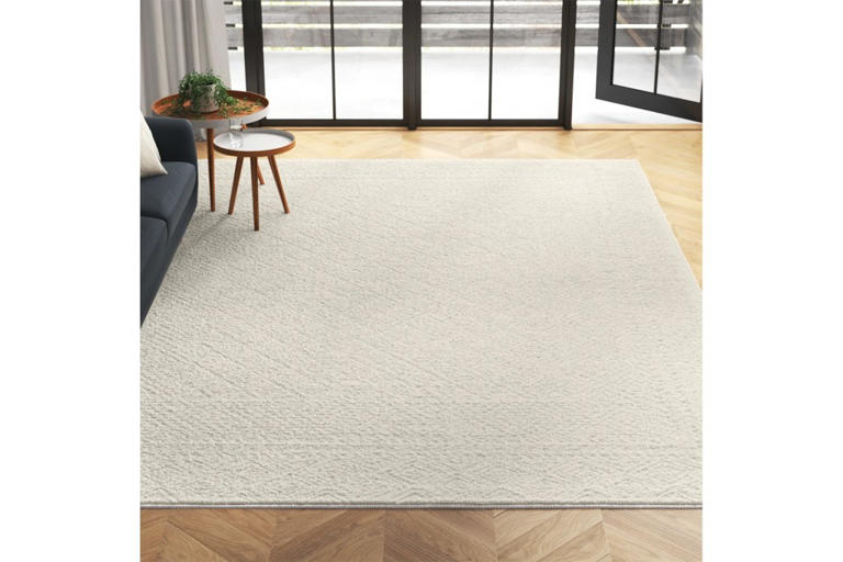 Prepare to be floored: Wayfair’s October Way Day rug deals start at $19