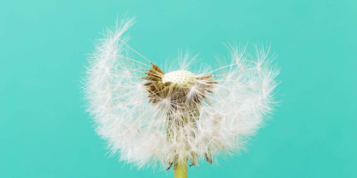 Yes, GLP-1 hair loss is real. But it doesn’t last long—and you can ...