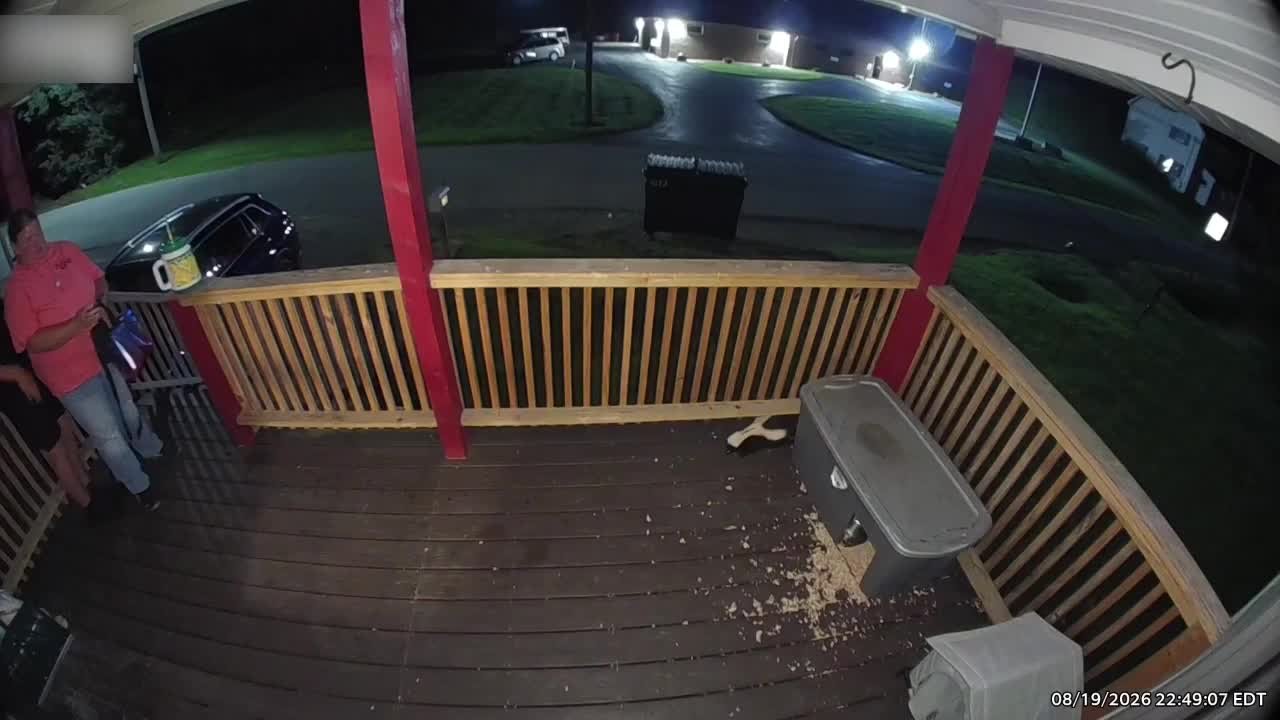 Woman gets scared as skunk runs into house from cat food box