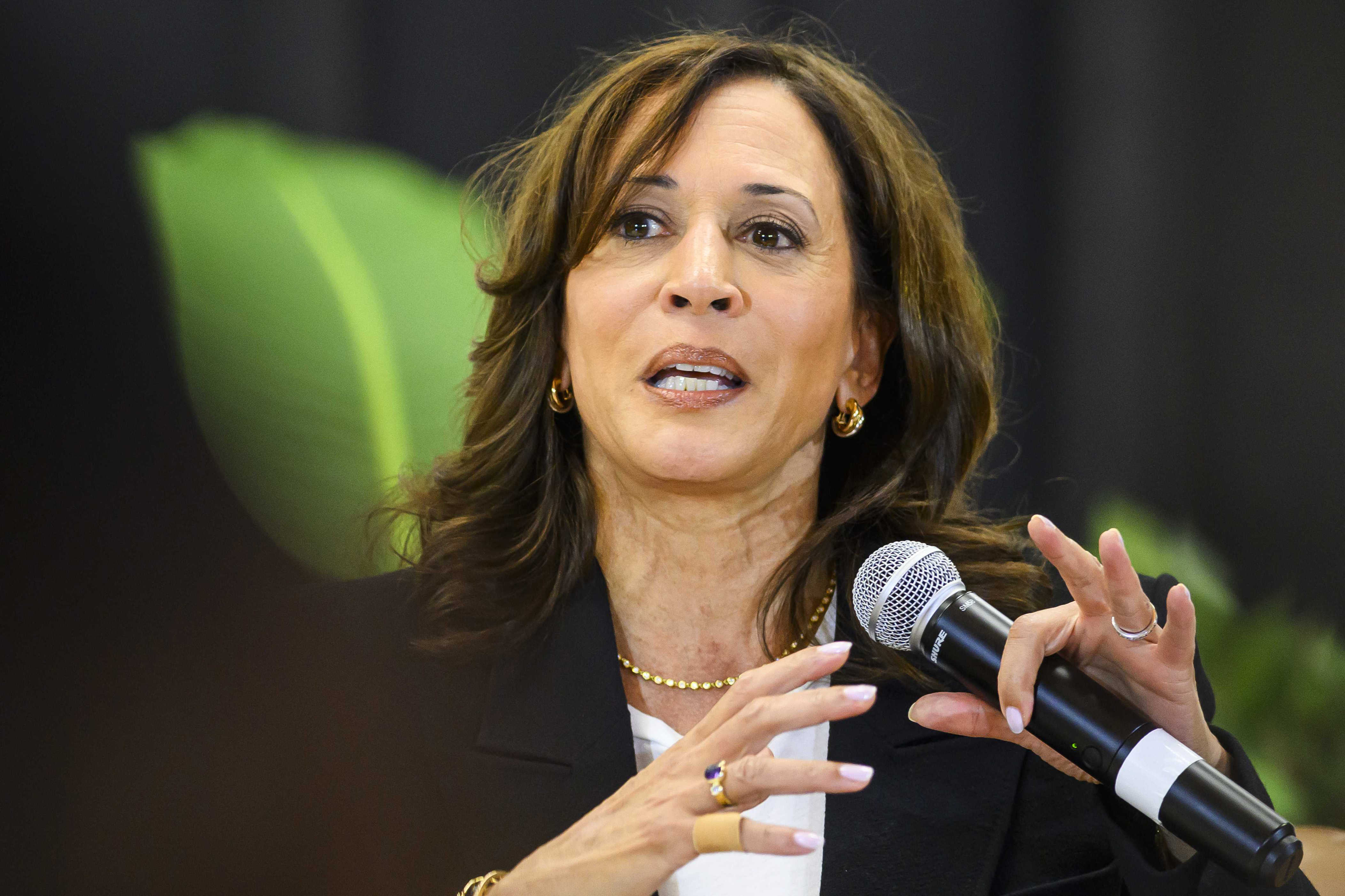 Kamala Harris campaigns for Senate candidate Scott Colom in Mississippi