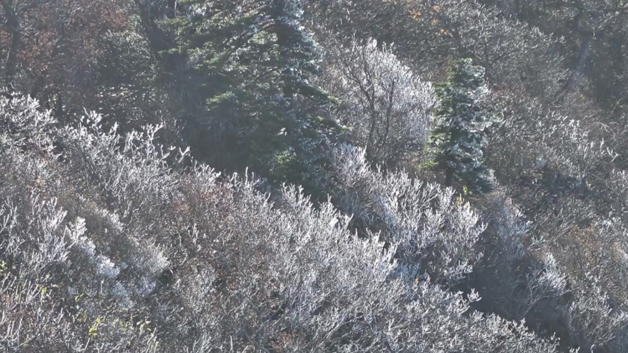 [날씨] 영하권 덕유산 첫 상고대 관측... 작년보다 닷새 빨라