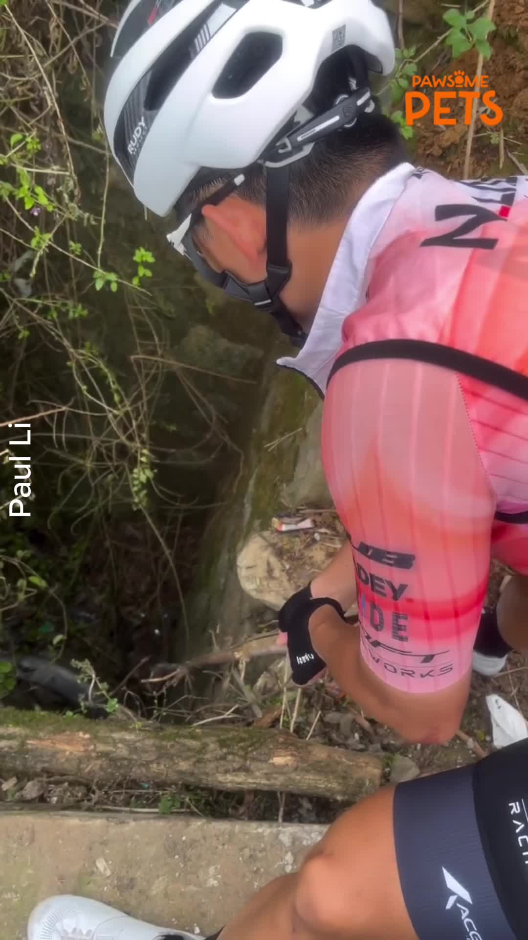 Cyclist makes unexpected animal discovery during ride and stops to help