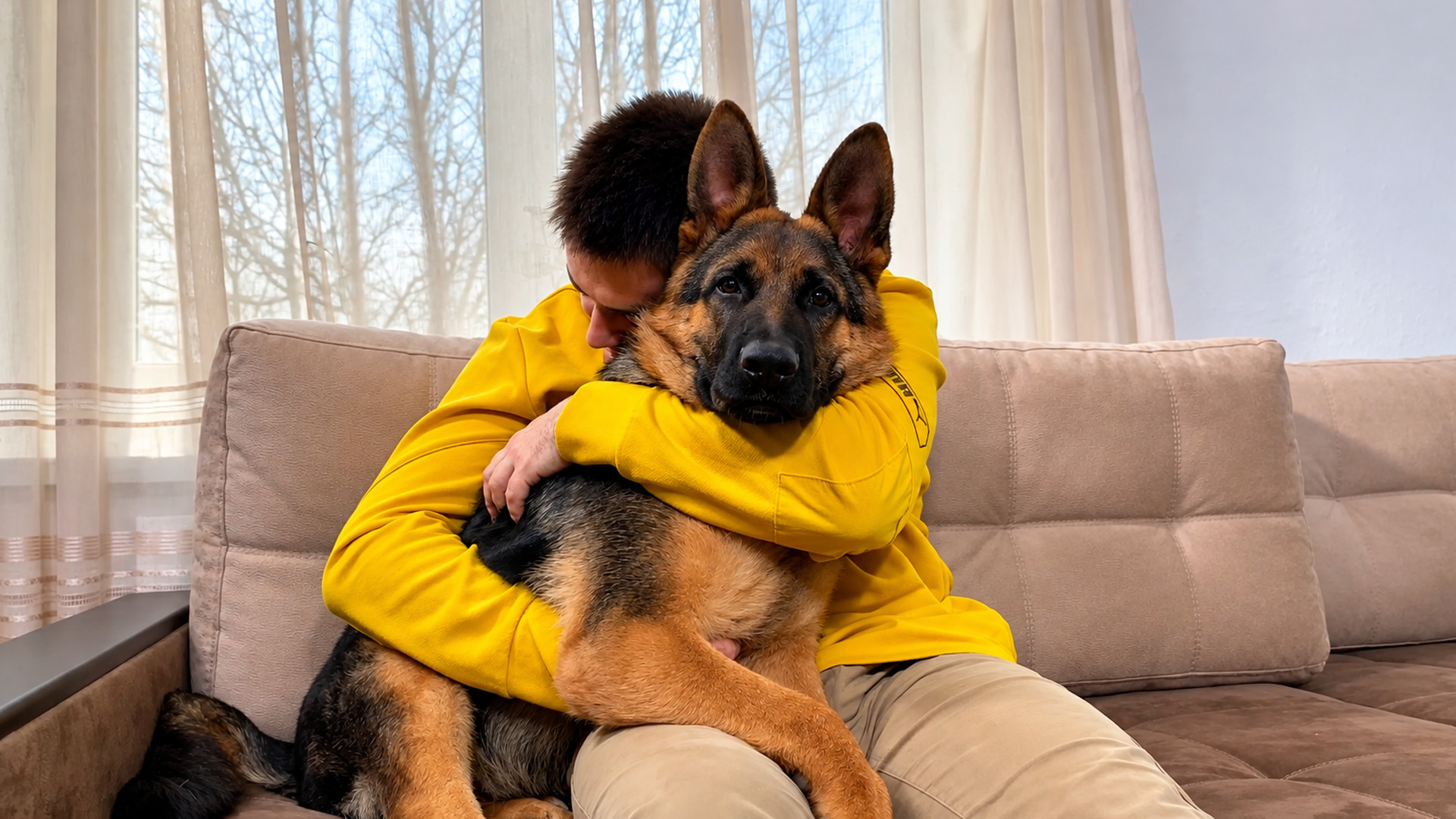 What does a German shepherd puppy do when hugged?
