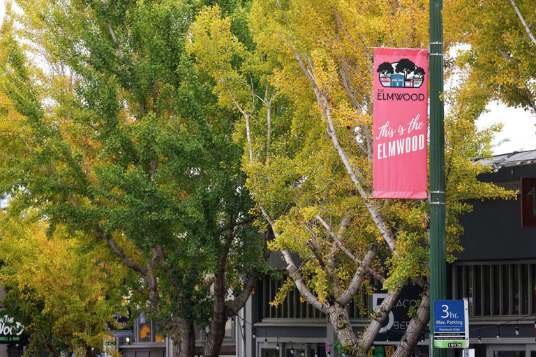 This historic Bay Area neighborhood feels like a 'Gilmore Girls ...