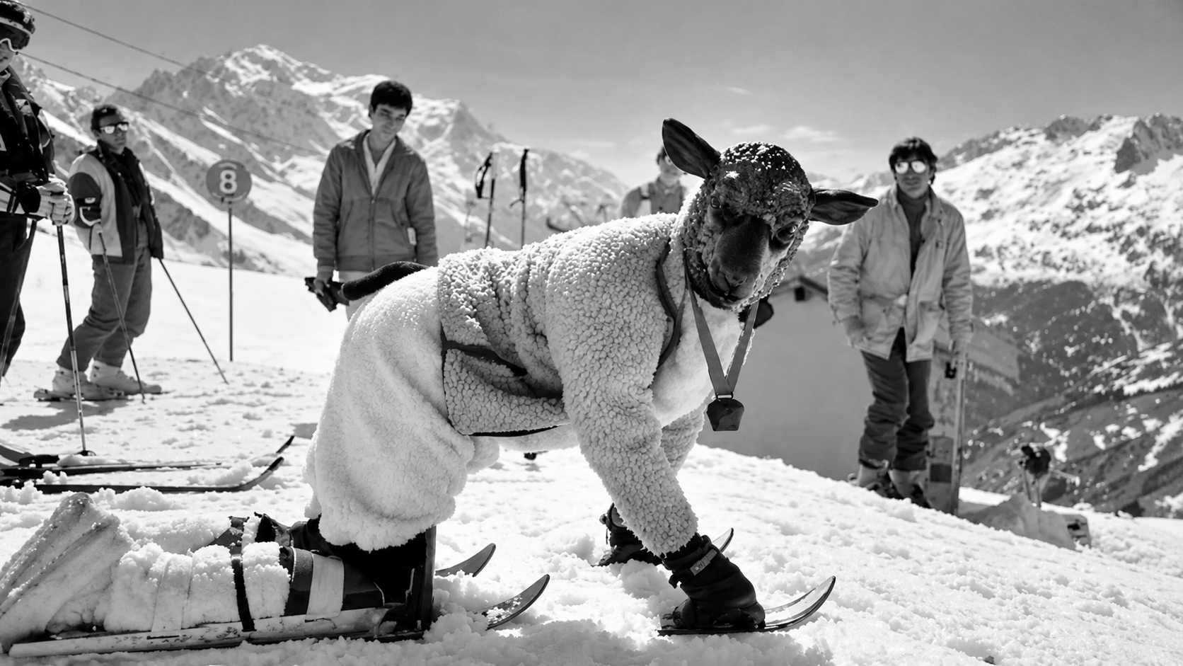 The rise and fall of Patagonia, from giving away 3 billion dollars to a ...