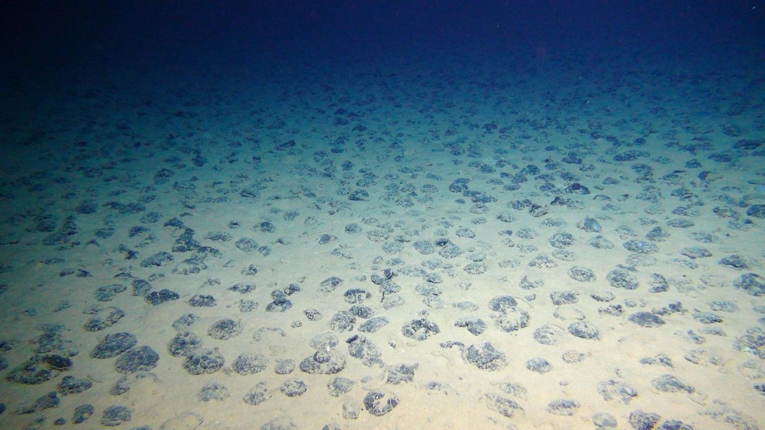 Bizarre fields of potato-like nodules line the Pacific seafloor ...