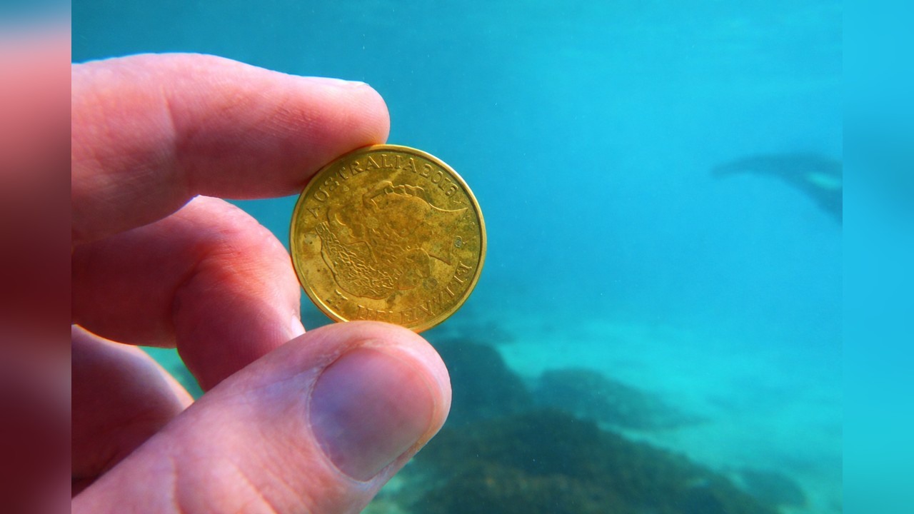 A diver finds a gold ring believed to be over 100 years old