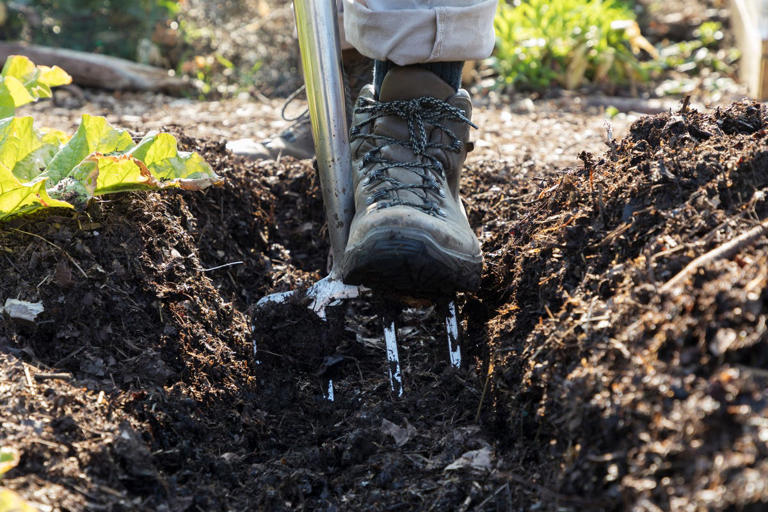 Alan Titchmarsh's October warning for wet soil that can stop flowerbeds ...
