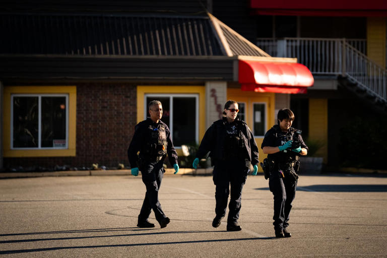 How are party leaders promising to improve public safety in BC.?