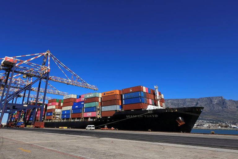 South Africa's trade with China surges after duty-free deal