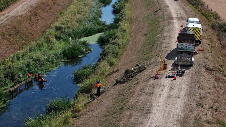 Northamptonshire-based vegetation management firm VMS Ltd delivers ...