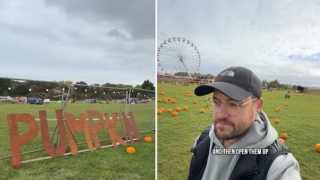 A sad tour of Suffolk’s most depressing pumpkin patch
