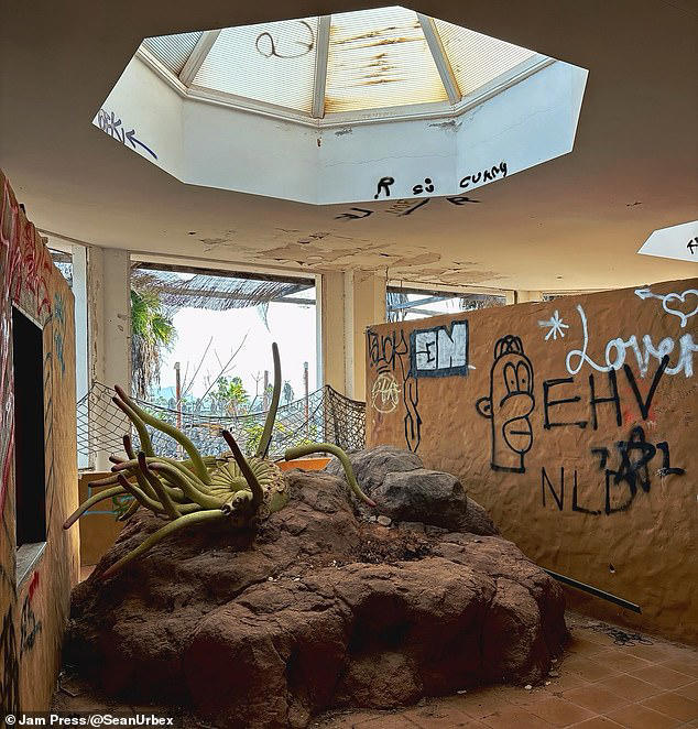 Abandoned Canary Islands waterpark once loved by British tourists is ...