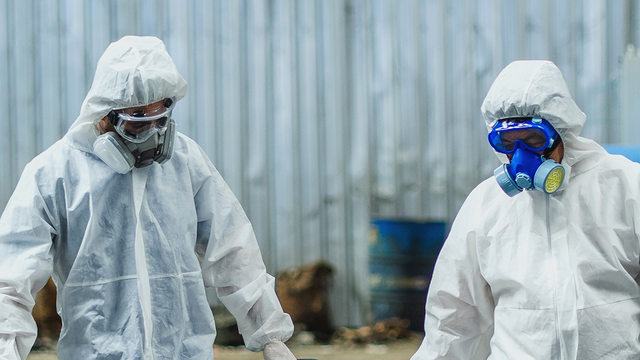 Shamonda virus detected in human for first time ever as patient dies in ...