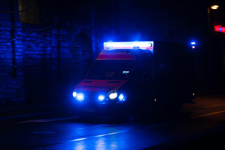 First ever human infection with Shamonda virus recorded in France