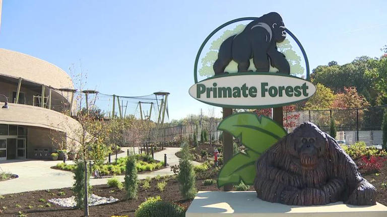 Cleveland Metroparks Zoo’s Primate Forest opens after years of construction