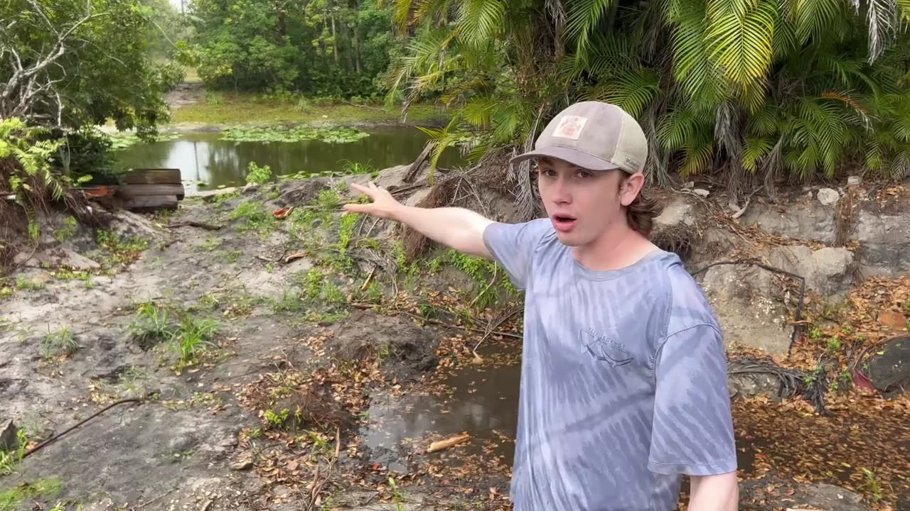 Fish are collected from a muddy pit for relocation