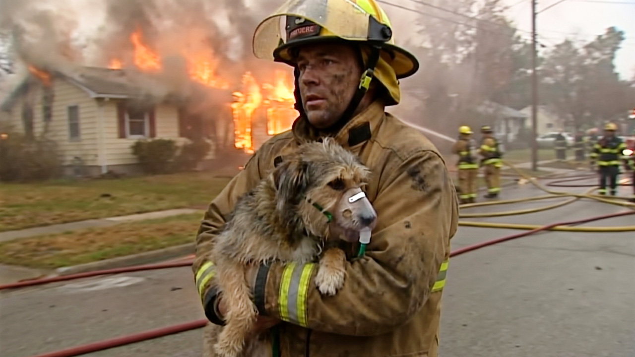 Firefighter saves lifeless dog, days later he thanks her in the ...